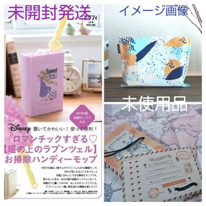 asos × My Little BOXコラボコットンポーチ、ワールドマップ、塔の上のラプンツェル お掃除ハンディーモップ