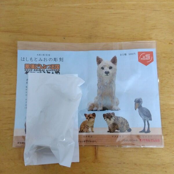 はしもとみお 那須どうぶつ王国【限定】ホッキョクオオカミ
