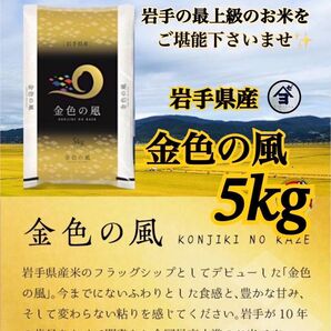 お米 精米【岩手県産金色の風5kg】岩手の最上級米!!感動の食味♪甘くてモチモチ♪当店のオススメNO1♪