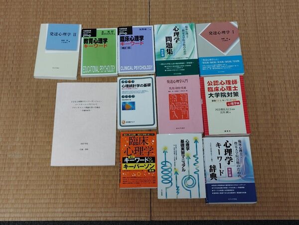 臨床心理学 発達心理学 テキスト 教科書 大学院用 書込無し まとめ売りS 12冊セット