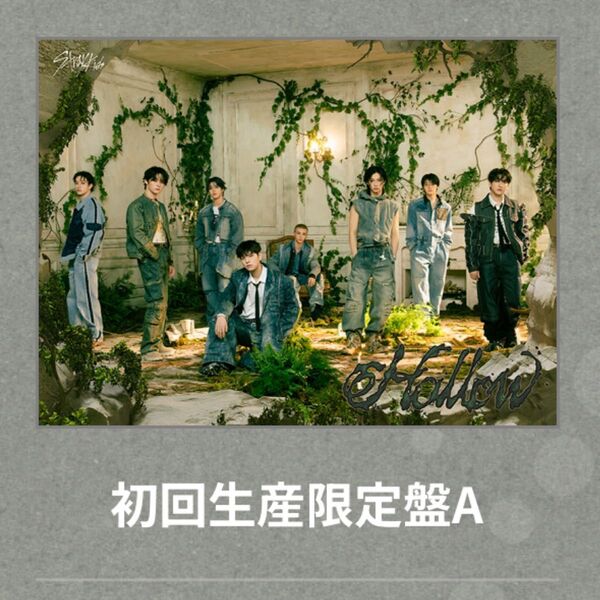 発送18日 Stray Kids スキズ Hollow 初回生産限定盤A 封入トレカ付き シリアル無 開封済