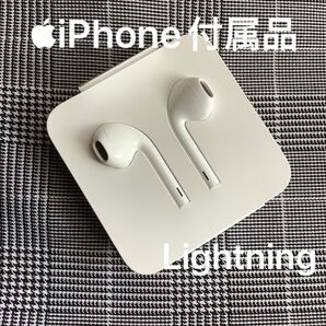 Apple iPhone イヤホン ライトニング 有線イヤホン EarPods