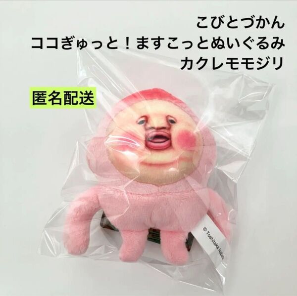 新品 こびとづかん ココぎゅっと!ますこっとぬいぐるみ カクレモモジリ