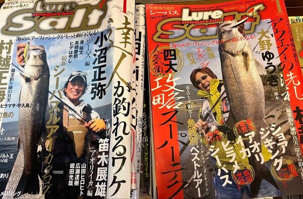 ルアーマガジン ソルト Lure magazine salt 2009、2010、2011、2012 41冊セット