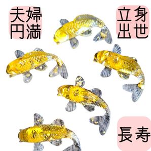 鯉 オルゴナイト5個セット シトリン 黄水晶 クリスタル 立身出世 成功 長寿 夫婦円満 開運インテリア