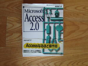 Microsoft Access2.0 Nikkei BP publish center 