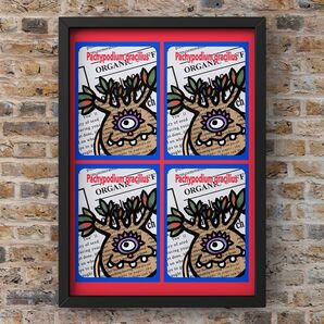 A4サイズポスター★【パキポディウムグラキリス】