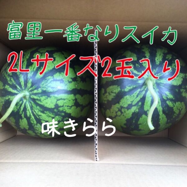 富里1番なりスイカ味きらら2Lサイズ2玉入り