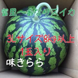 富里1番なりスイカ味きらら3Lサイズ1玉入り