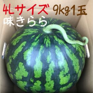 富里1番なりスイカ味きらら4Lサイズ1玉入り