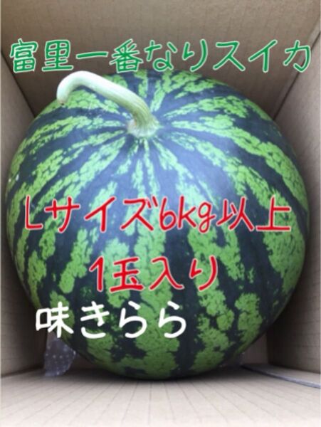 富里1番なりスイカ味きららLサイズ1玉入り