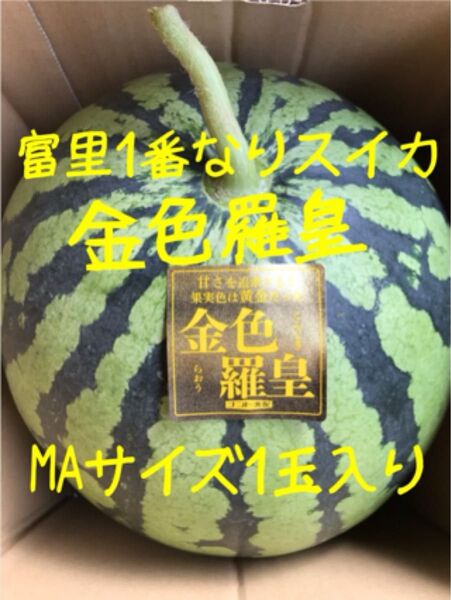 富里1番なりスイカ金色羅皇MAサイズ1玉入り