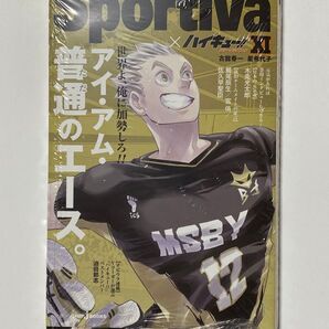 ショーセツバン 木兎 未開封