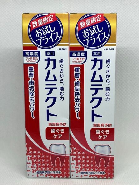 薬用カムテクト 歯磨き粉 ハミガキ 歯ぐきケア 【105g×2本セット】歯周病予防 ハミガキペースト アース製薬