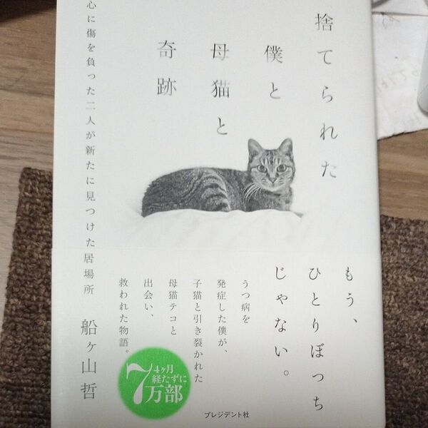 捨てられた僕と母猫と奇跡 心に傷を負った二人が新たに見つけた居場所 船ヶ山哲/著