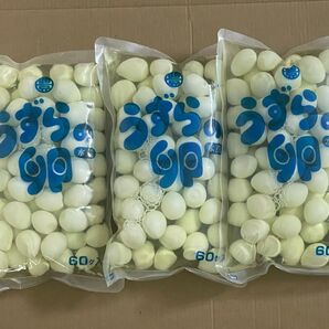 【B級品】うずらのたまご水煮 60卵入 × 3袋 計180卵 豊橋養鶉農協製【SDGs】【日本中に豊橋うずらを広め隊】