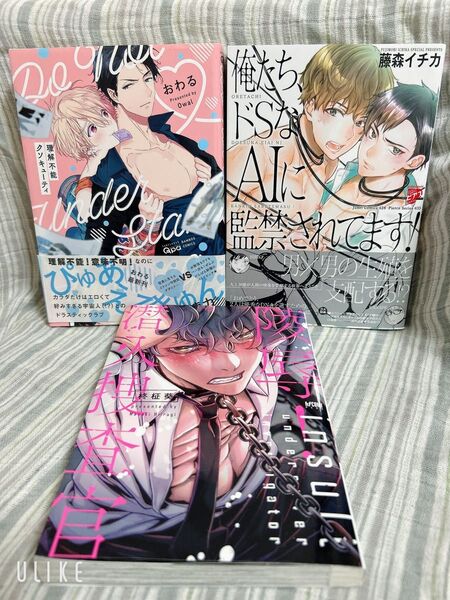 BLコミック 3冊セット バラ売り不可