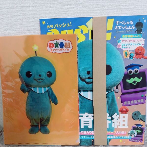 教育番組 タマ Pash! 6月号 クリアファイル付き