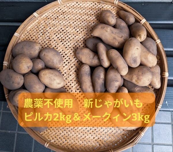 新じゃがいも 農薬不使用 ピルカ2kg&メークィン3kg 詰め合わせ