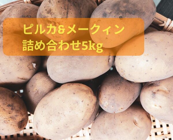新じゃがいも 農薬不使用 ピルカ2kg&メークィン3kg 詰め合わせ
