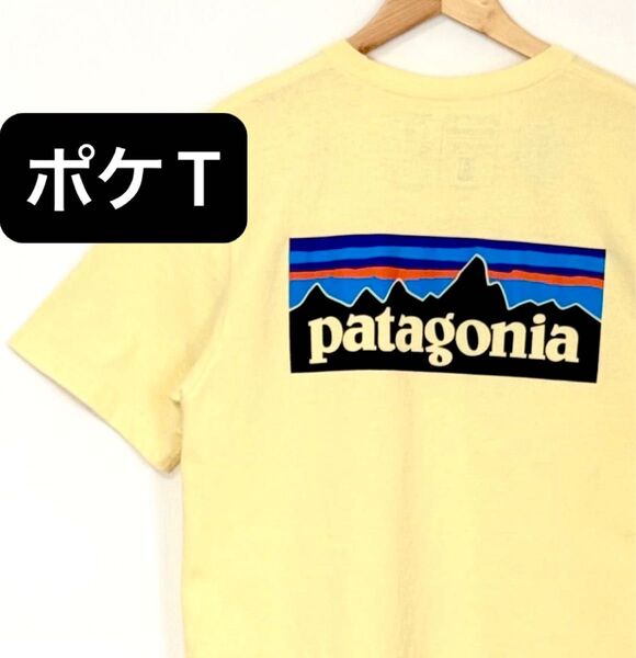 patagonia★P-6 Logo Responsibili Tee パタゴニア ロゴ レスポンシビリティー ポケットTシャツ