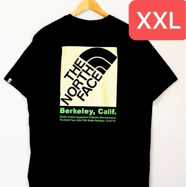 THE NORTH FACE ELLISON TEE★ザノースフェイス エリソン Tシャツ カリフォルニア 2XL XXL