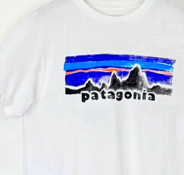 patagonia★P-6 Logo パタゴニア ヴィンテージ ロゴ オーガニックコットン Tシャツ メンズ M