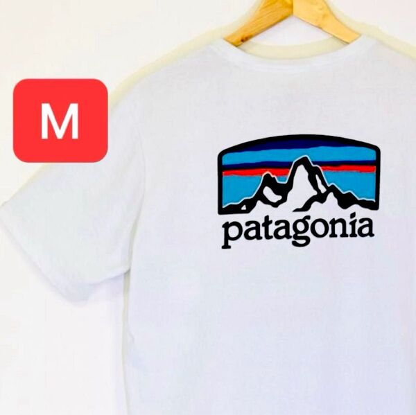 Patagonia★パタゴニア フィッツ ロイ ホライゾンズ レスポンシビリティー Tシャツ M