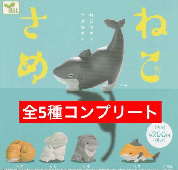 ねこさめ ガチャ カプセルトイ【全5種コンプリート】新品・未開封
