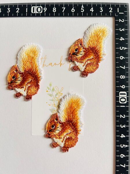 リス 刺繍ワッペン 3個セット オレンジ刺繍アイロンワッペン