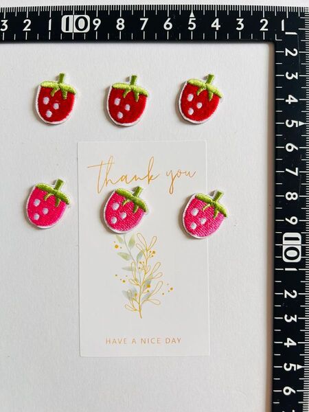 いちご 刺繍ワッペン 6枚セット 刺繍アイロンワッペンシールタイプ