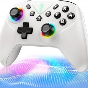 Switch2 コントローラー ダブルホールスティック搭載 プロコン 6軸 最新 マクロ機能 背面ボタン 6軸ジャイロセンサー