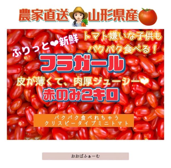 糖度爆上がり中農家直送!山形県産!ぷりっと新鮮フラガール赤のみ2キロ