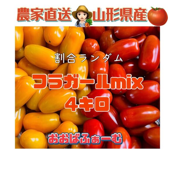 ☆1箱限定☆農家直送!山形県産!ぷりっと新鮮フラガールmix4キロ