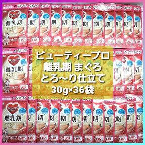 ビューティープロ キャット パウチ 離乳期 まぐろ とろーり仕立て 30g×36袋