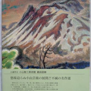 小諸市立小山敬三美術館 蔵品図録