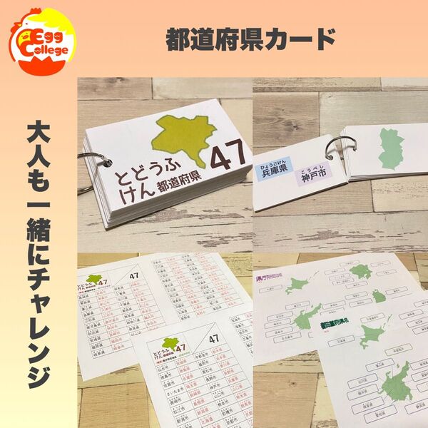 社会 都道府県 県庁所在地カード 小学生 中学生 知育教材 定期テスト 知育玩具