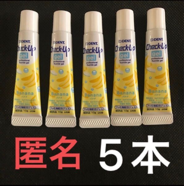 ライオン!LION! チェックアップジェル!バナナ!同梱割