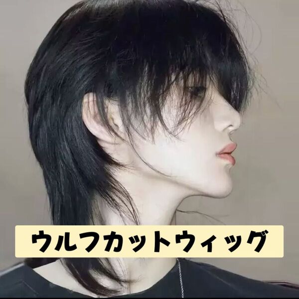 フルウィッグ メンズ 自然 ショート 医療用 コスプレ 男装 かつら ウィッグ 韓国男子 エクステ