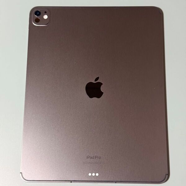 iPad Pro M4 13インチ WiFi + Cellular 256GB 標準ガラス搭載 スペースブラック