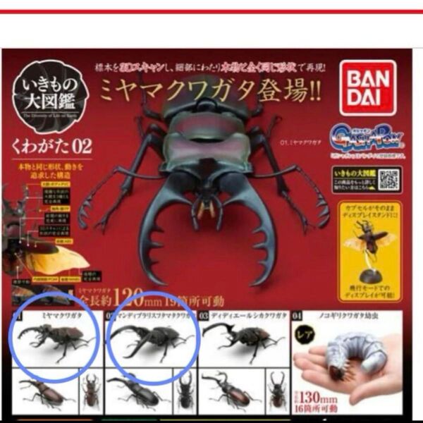 【ガチャ】いきもの大図鑑くわがた02 ミヤマクワガタ カブトムシ ヘラクレスなど