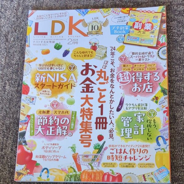 LDK(エルディーケー) 2024年2月号 (晋遊舎)