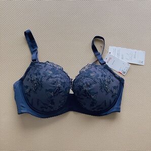 Wacoal wing ナチュラルアップブラ D75