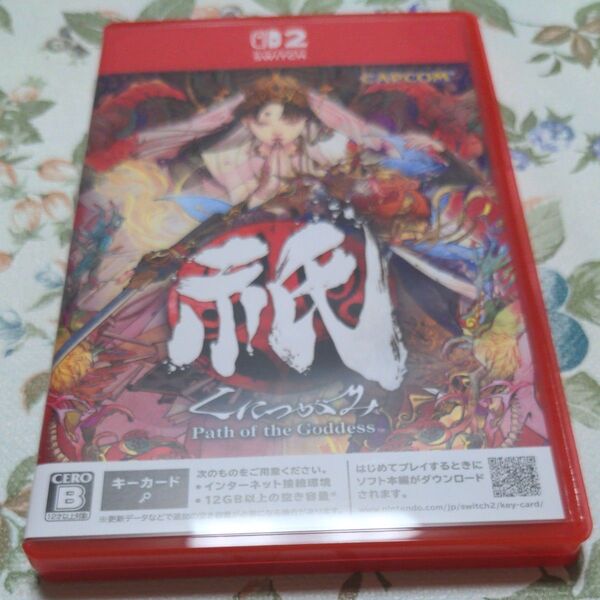 祇(くにつがみ):Path of the Goddess Nintendo Switch2