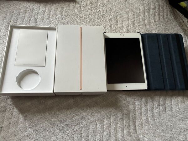 ipad mini5 256GB セルラー