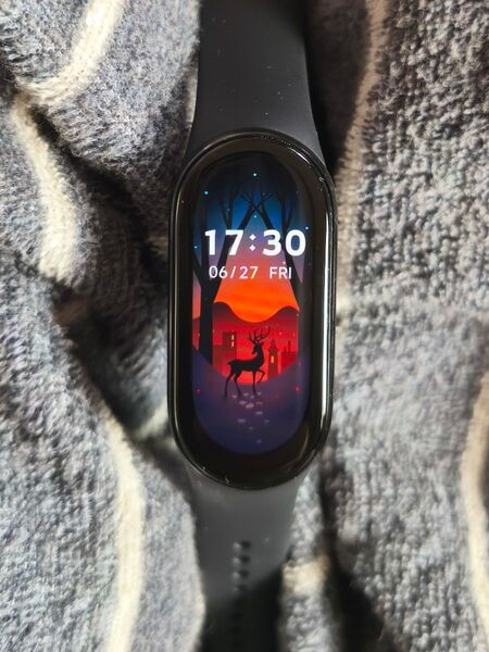Xiaomi Smart Band 9