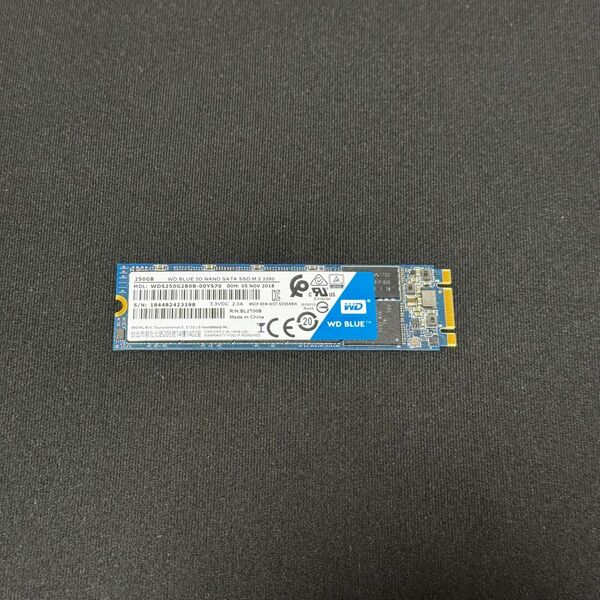 Western Digital Blue M.2 SSD 250GB
