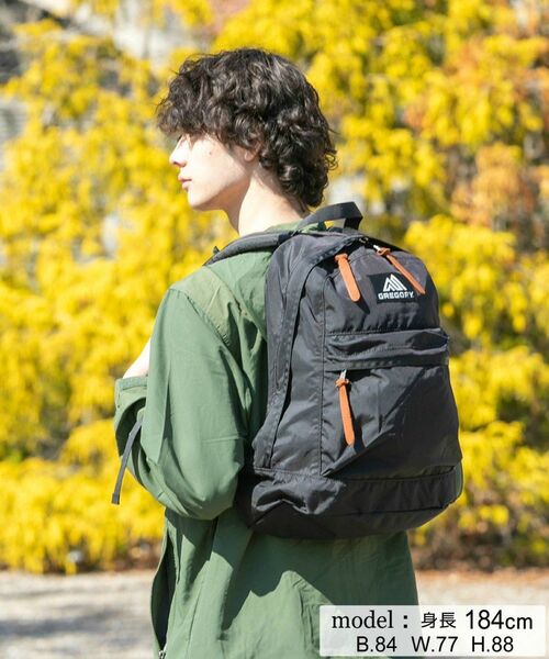 グレゴリー GREGORY リュックサック 20L イージーデイ EASY DAY ブラック 黒