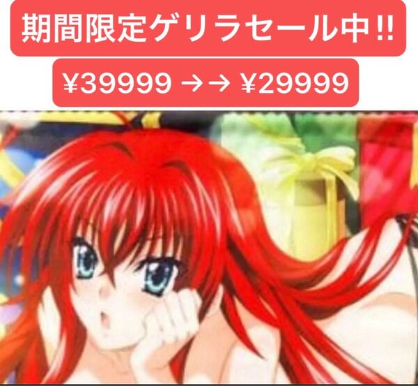 ハイスクールD×D 3DS ゲーマーズ特典 A3タペストリー リアスグレモリー