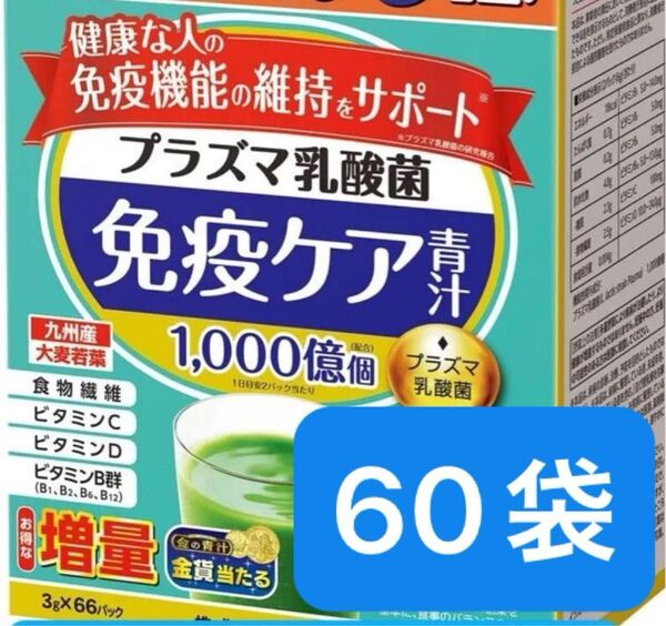 金の青汁プラズマ乳酸菌 お得用大容量60パック プラズマ乳酸免疫ケア青汁 お徳用 粉末青汁